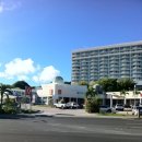 로마스할리데이 이미지