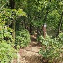 중원-100 이미지