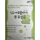 에코플라이 이미지