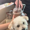 나나칩스 | 강추 호텔 : 프라우드 푸파 무앙 정복하기 (2탄:룸서비스/조식/나나정글)/Proud Phu Fah Muang Chiangmai