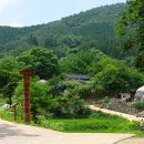 영화마을 이미지