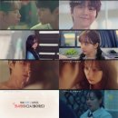 드림 bnt뉴스