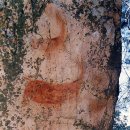 세계문화유산(420)/ 스페인 / 이베리아 반도 지중해 연안의 암각화(Rock Art of the Mediterranean Basin 이미지