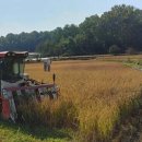 승리농장 이미지