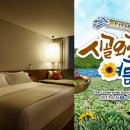 스테이놀 이미지