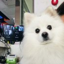 창 노래연습장 이미지