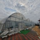 대문안 농장 이미지