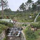 대룡리(주말장터) | 인천광역시 강화군 여행(4) 후기