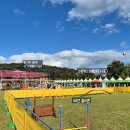송학약초웰빙센터 | (아기랑) 2025년 경남 함양 &#39;산삼축제&#39; 방문후기