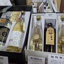 솔송주 문화관 이미지