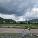 [청도 신기교] 대구근교 차크닉장소! 다리밑 물놀이할 수 있는 하천 근처 차박 스팟!