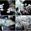 초원가든 이미지