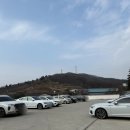 스토리 | 용인 애견카페 애견운동장 넓은 아로하스토리 후기