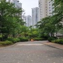 연세푸른정형외과의원 이미지