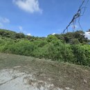 웅천읍행정복지센터 이미지