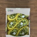 샤인코인노래연습장 이미지