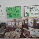 솔아농장 이미지