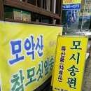 모악산참모싯잎송편 이미지