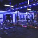 킹덤스포렉스 이미지