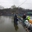 미꾸라지세상 이미지