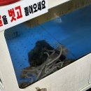 미향아구탕