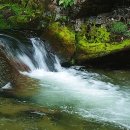 제122차 정기산행 장안산(덕산계곡) 이미지