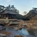 송학사 Daum카페