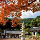 남지장사 - 1141 | [가창 가을 산책]조용한 사찰 남지장사 한적한 가을 오후, 마음을 비우는 시간