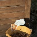 상계3.4동주민센터 주민사랑방(2층) | [노원] 수락산 동막골 자연휴양림(수락휴) 24호 나비의꿈 뚜벅이 후기 + 불암산역 카페 추천 불암산카페