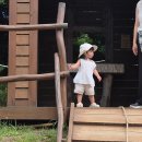 비야네상점 | 여름제주2 : 제주스누피가든 할인, 카페아줄레주 에그타르트, 소노캄제주수영장, 제주표선어로횟집 후기