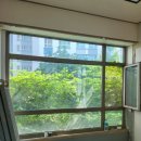 트라비건 이미지