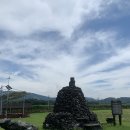 배바우손두부 이미지