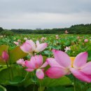 웰빙홈케어 이미지