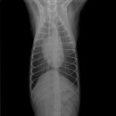 마송 동물병원 이미지