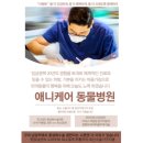 애니케어동물병원 이미지