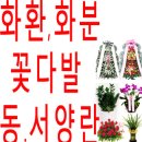 율현초등학교 삼거리 이미지