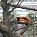 리버(river) 이미지