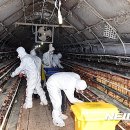 김제앵글 뉴시스