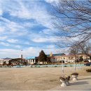 왕치초등학교 이미지