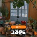 유성구남부복지관 | 대전 원신흥동 브런치 카페 유럽 무드와 플랜테리어가 어우러진, 그라운드