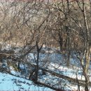 순흥파출소 이미지