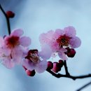 은혜머리마당 이미지