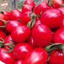 장산휘트니스클럽 이미지