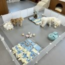 아이멍그라운드 이미지