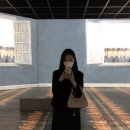 가비bag