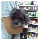 엄마손 동물병원 이미지