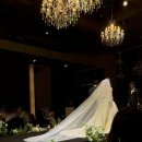 꽃무리 뜸 | ෆ W ) - 14 : 대전 BMK 본식 후기 (루아스포사/브리이에/라벨르스냅/스냅스타/김도진사회자)