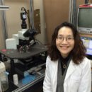 메디스타 이미지