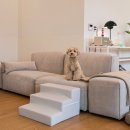 현대종합동물병원 이미지