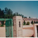 후포초등학교 이미지